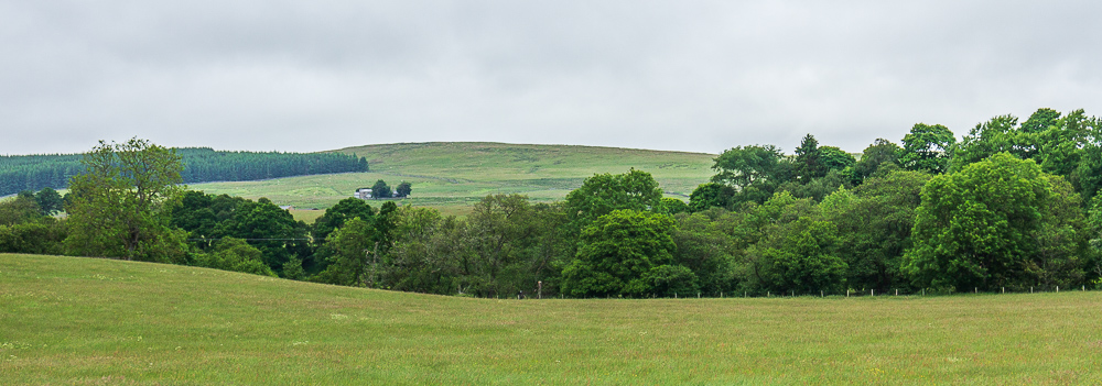 Belling Rigg